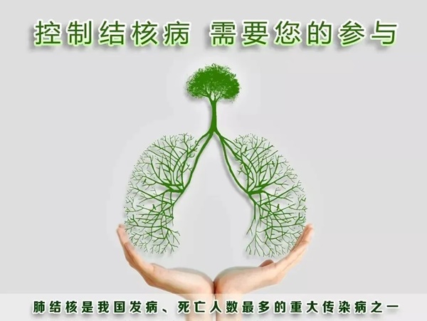 640_wx_fmt=jpeg&from=appmsg&tp=webp&wxfrom=5&wx_lazy=1&wx_co=1.webp (2).jpg